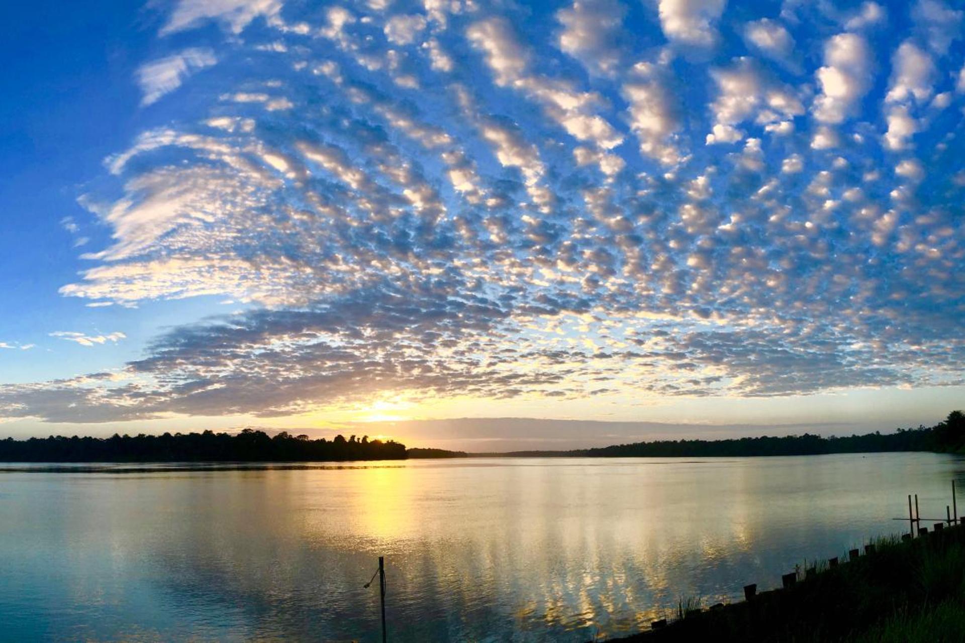 Overbridge River Resort